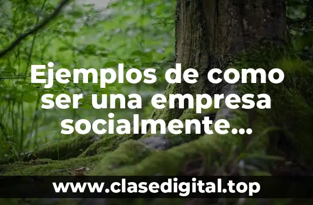 Ejemplos de como ser una empresa socialmente responsable