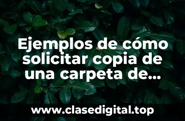 Ejemplos de cómo solicitar copia de una carpeta de investigación y Significado