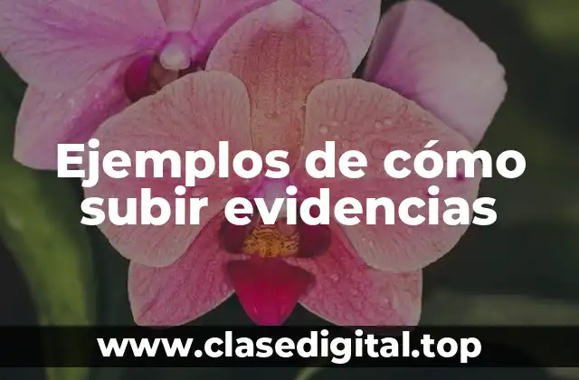Ejemplos de cómo subir evidencias