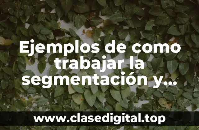 Ejemplos de como trabajar la segmentación y producción de textos