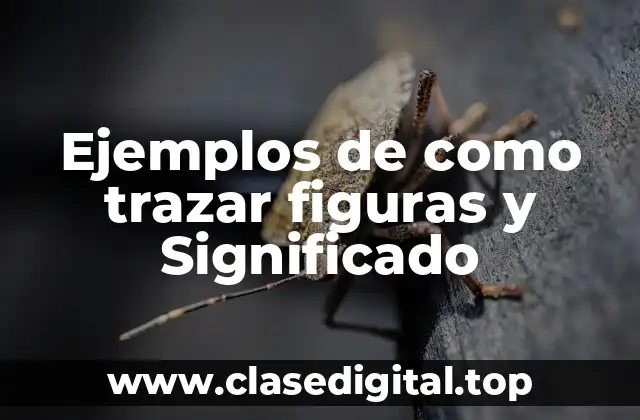 Ejemplos de como trazar figuras y Significado