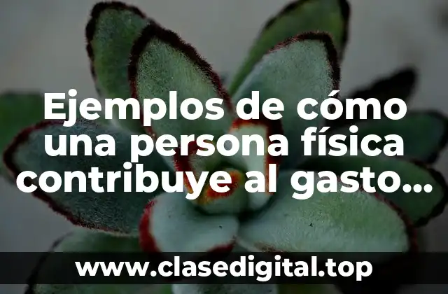 Ejemplos de cómo una persona física contribuye al gasto público