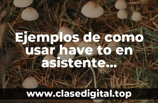 Ejemplos de como usar have to en asistente administrativo