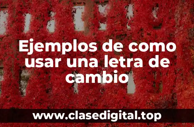 Ejemplos de como usar una letra de cambio