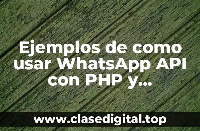 Ejemplos de como usar WhatsApp API con PHP y Significado