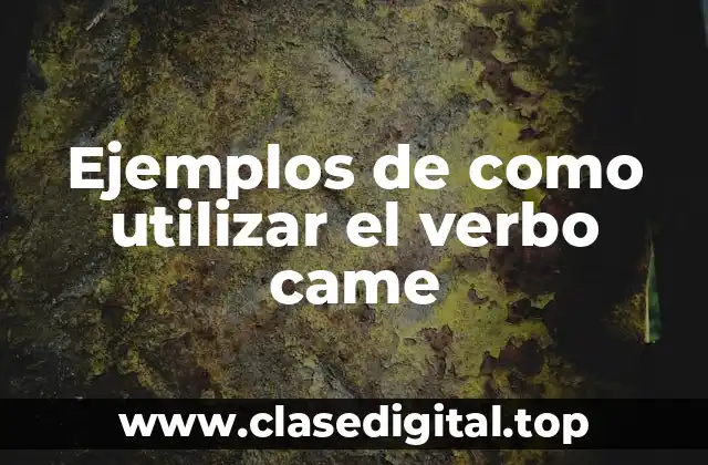 Ejemplos de como utilizar el verbo came