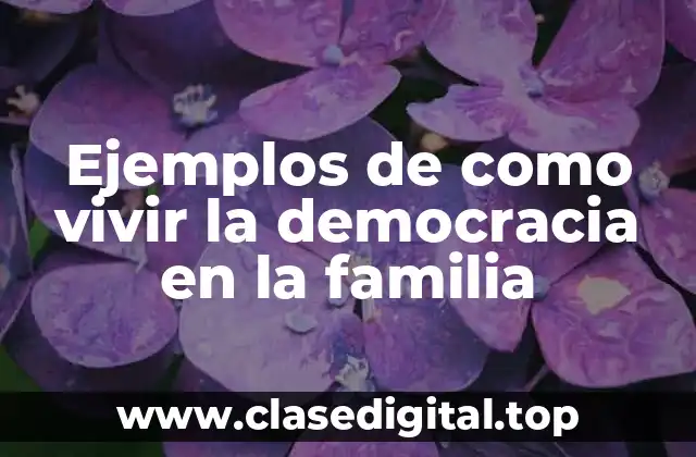 Ejemplos de como vivir la democracia en la familia