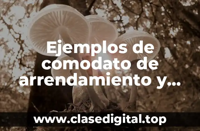 Ejemplos de comodato de arrendamiento y Significado
