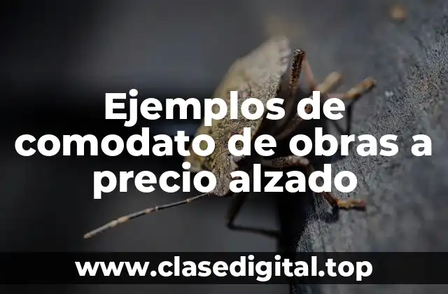 Ejemplos de comodato de obras a precio alzado