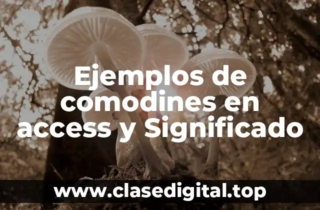 Ejemplos de comodines en access y Significado