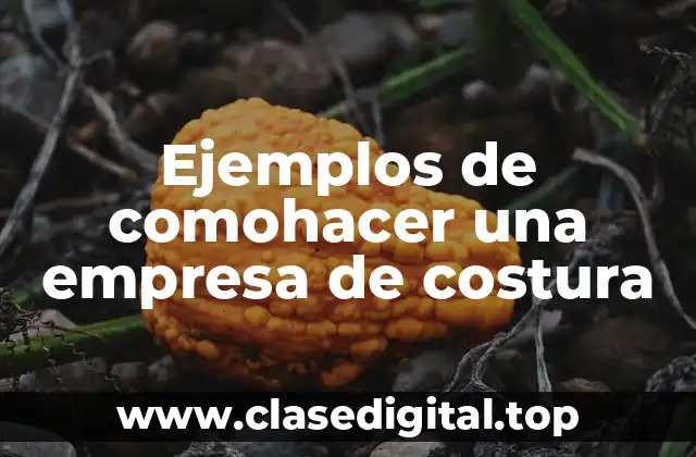 Ejemplos de comohacer una empresa de costura