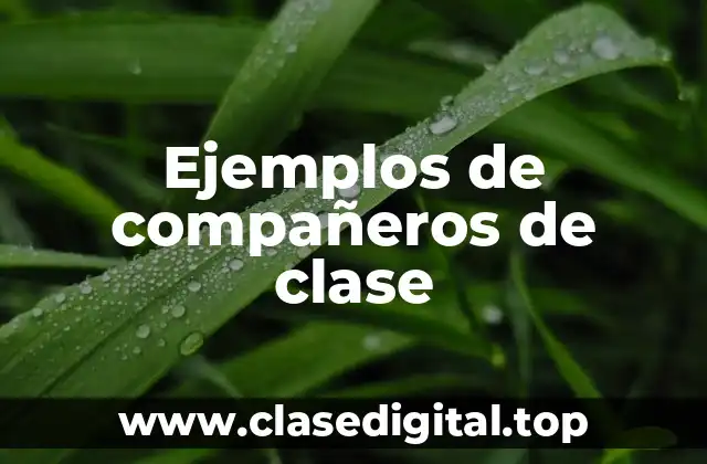 Ejemplos de compañeros de clase