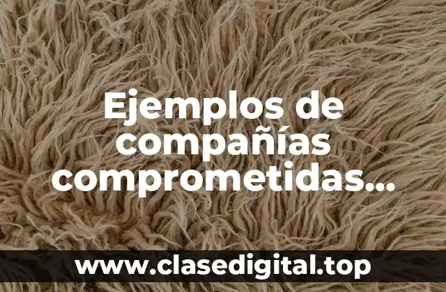 Ejemplos de compañías comprometidas socialmente