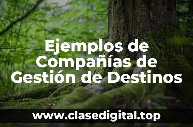 Ejemplos de Compañías de Gestión de Destinos