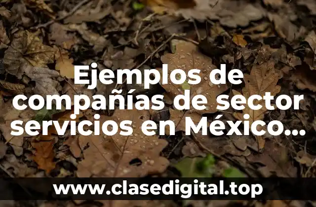 Ejemplos de compañías de sector servicios en México