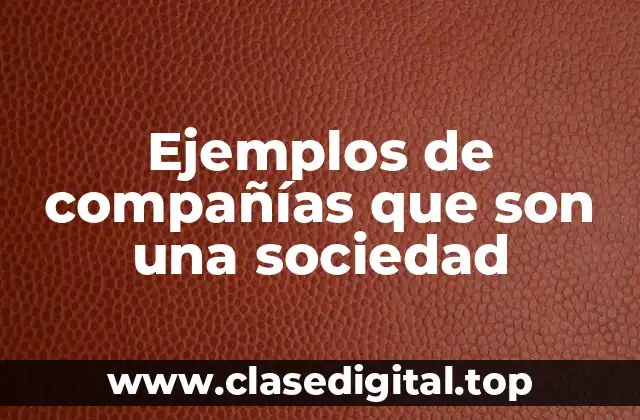 Ejemplos de compañías que son una sociedad