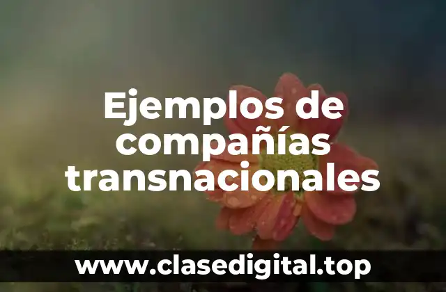 Ejemplos de compañías transnacionales