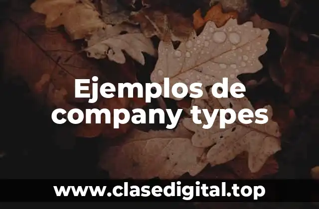 Ejemplos de company types