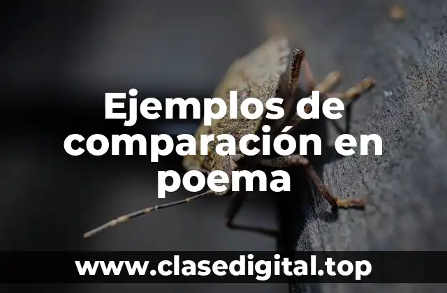 Ejemplos de comparación en poema