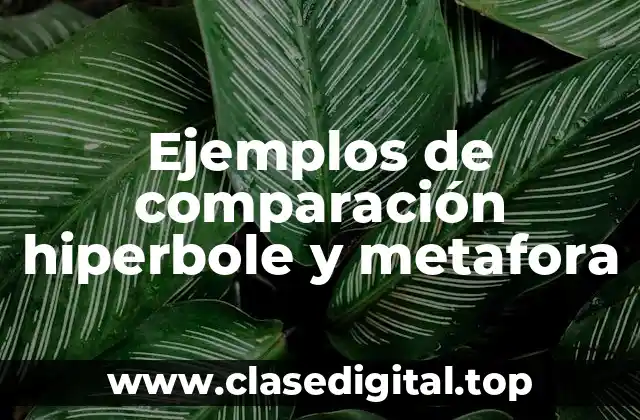 Ejemplos de comparación hiperbole y metafora