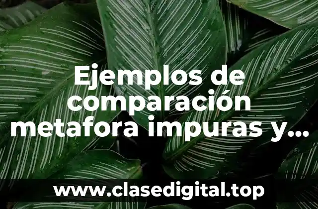 Ejemplos de comparación metafora