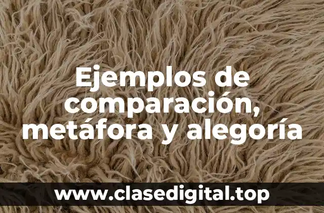 Ejemplos de comparación, metáfora y alegoría