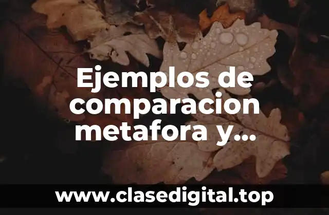 Ejemplos de comparación metafora