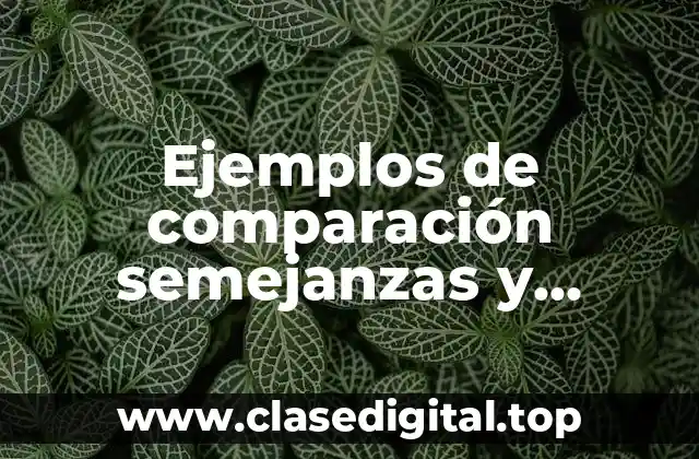 Ejemplos de comparación semejanzas y diferencias