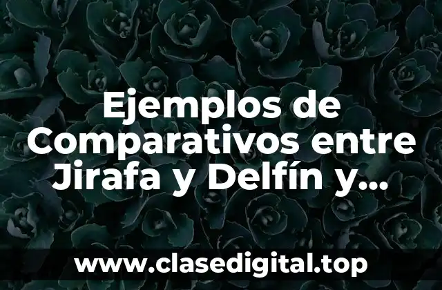 Ejemplos de Comparativos entre Jirafa y Delfín y Significado