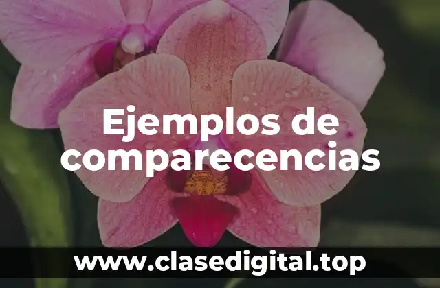 Ejemplos de comparecencias
