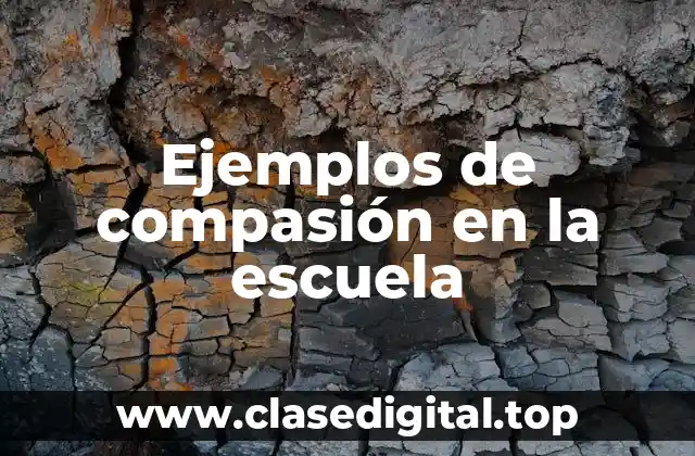 Ejemplos de compasión en la escuela