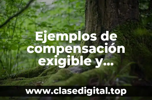 Ejemplos de compensación exigible y Significado