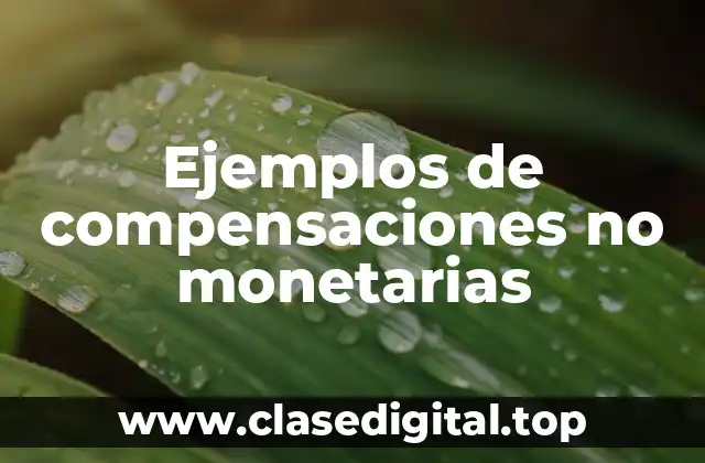 Ejemplos de compensaciones no monetarias