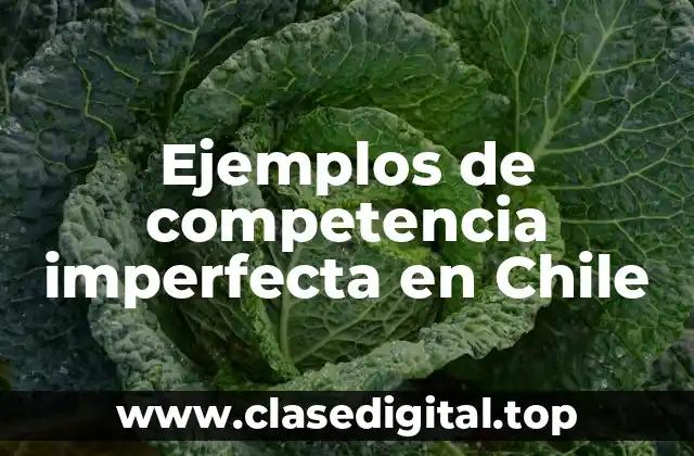 Ejemplos de competencia imperfecta en Chile