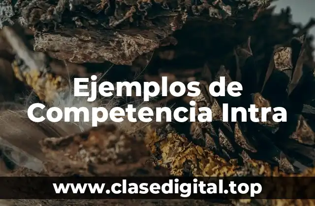 Ejemplos de Competencia Intra