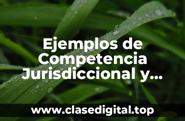 Ejemplos de Competencia Jurisdiccional y Significado