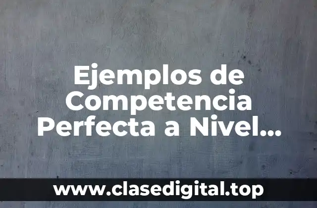 Ejemplos de Competencia Perfecta a Nivel Mundial y Significado