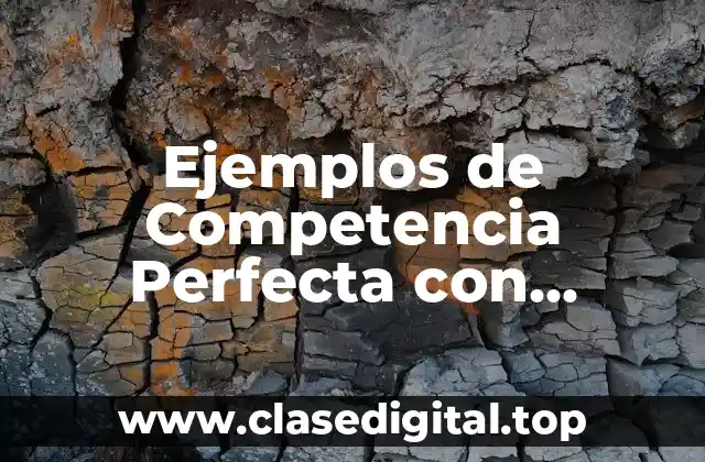 Ejemplos de Competencia Perfecta con Empresas Mexicanas