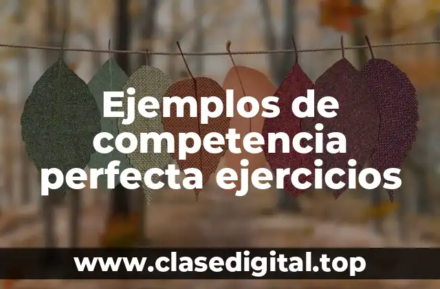 Ejemplos de competencia perfecta ejercicios
