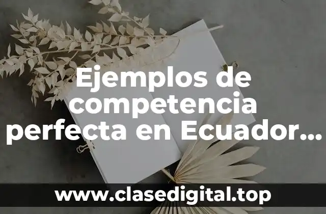 Ejemplos de competencia perfecta en Ecuador y Significado