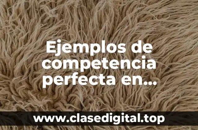 Ejemplos de competencia perfecta en Guatemala y Significado
