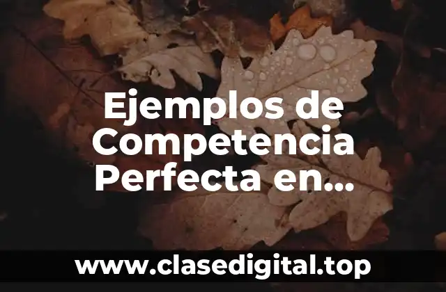 Ejemplos de Competencia Perfecta