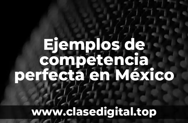 Ejemplos de competencia perfecta en México