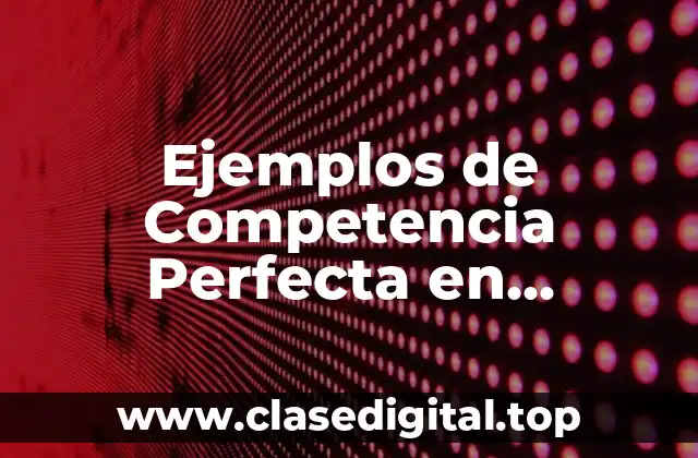 Ejemplos de Competencia Perfecta en Microeconomía y Significado