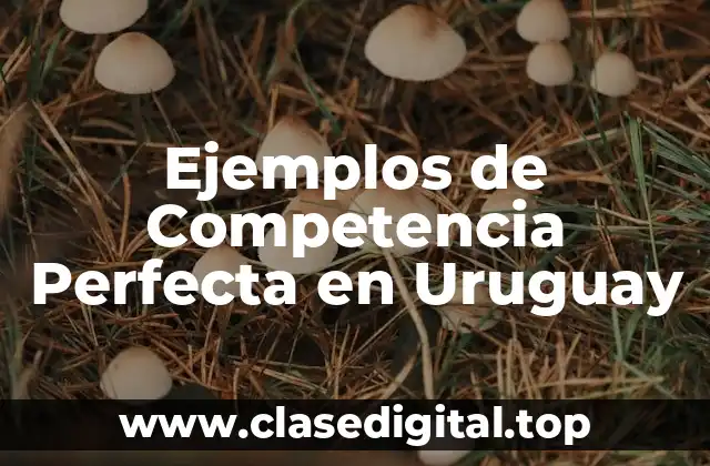 Ejemplos de Competencia Perfecta en Uruguay