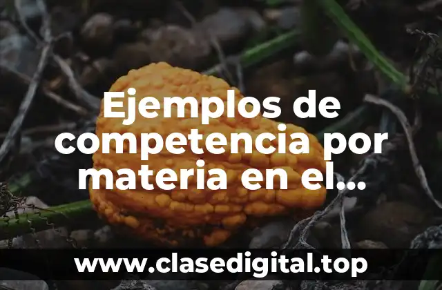 Ejemplos de competencia por materia en el derecho internacional privado y Significado