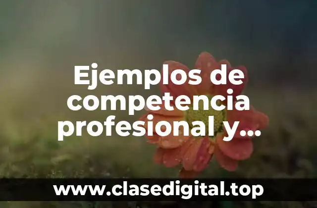Ejemplos de competencia profesional y Significado
