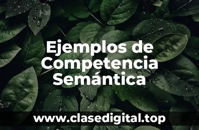 Ejemplos de Competencia Semántica