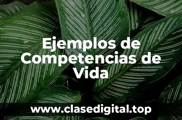 Ejemplos de Competencias de Vida