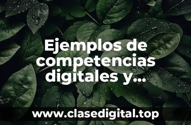 Ejemplos de competencias digitales y Significado